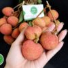 vai-thieu-thanh-ha-1kg-tai-nong-san-dung-ha-chat-luong