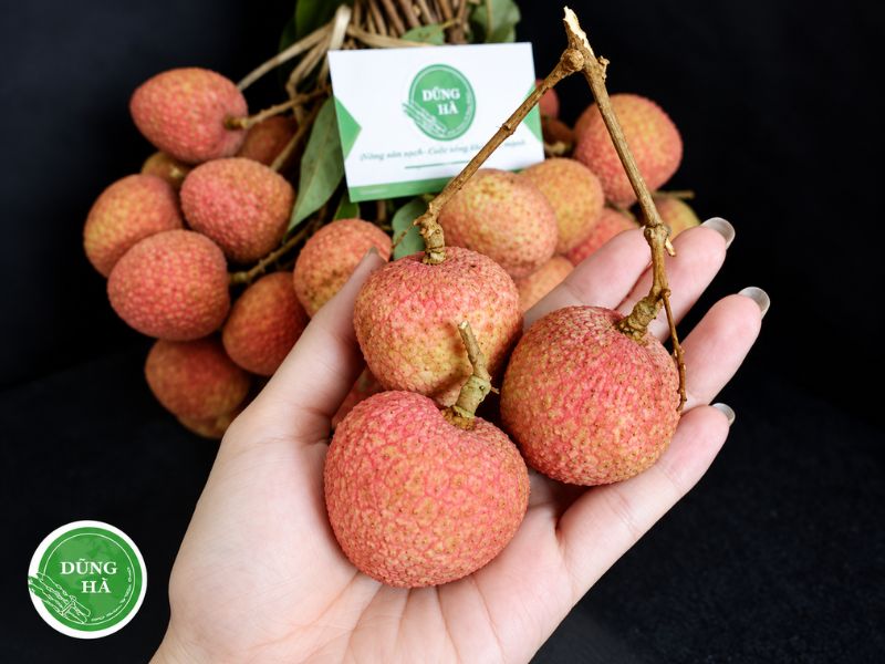 vai-thieu-thanh-ha-1kg-tai-nong-san-dung-ha-chat-luong
