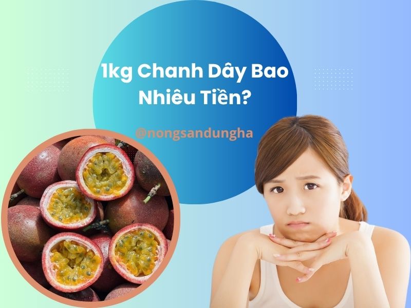1kg-chanh-day-bao-nhieu-tien