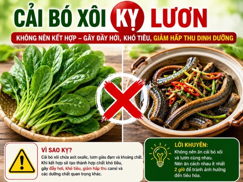 bat-mi-cai-bo-xoi-ky-voi-gi.jpg