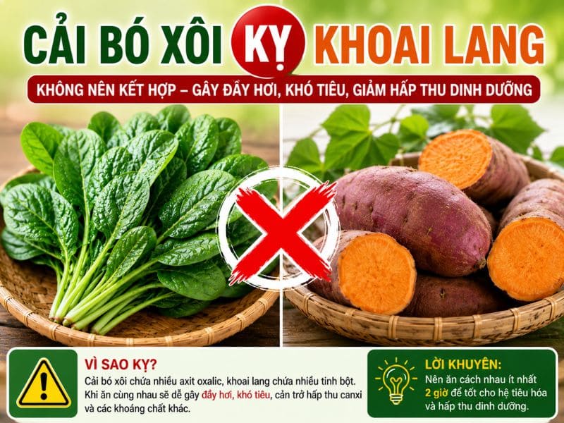 bi-mat-cai-bo-xoi-ky-voi-gi.jpg