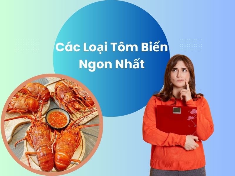 cac-loai-tom-bien-ngon-nhat