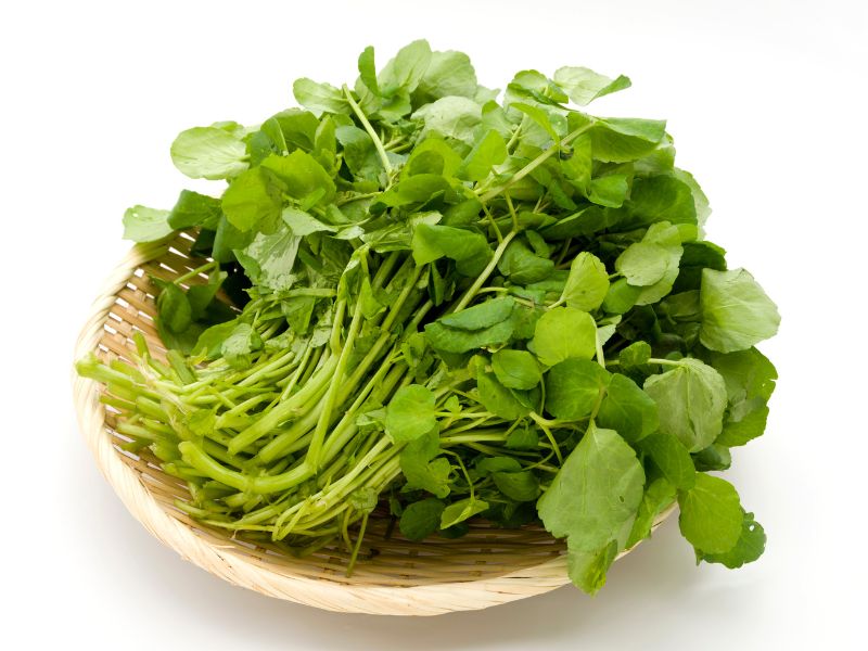 chia-se-cach-trong-cai-xoong
