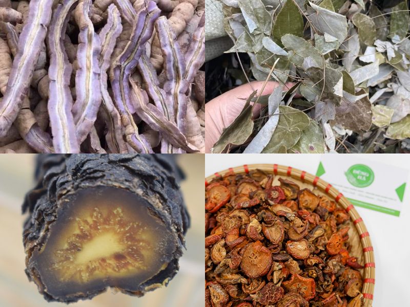 do-ngam-ruou-tu-thao-duoc