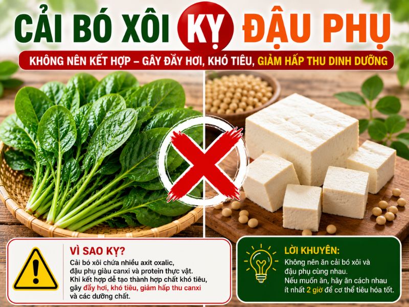 dung-bo-lo-cai-bo-xoi-ky-voi-gi.jpg