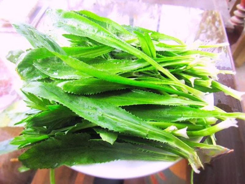 giai-dap-thac-mac-rau-mui-tau-ky-voi-gi