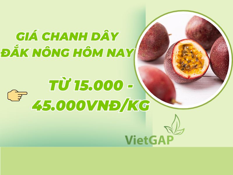goc-thac-mac-1kg-chanh-day-bao-nhieu-tien