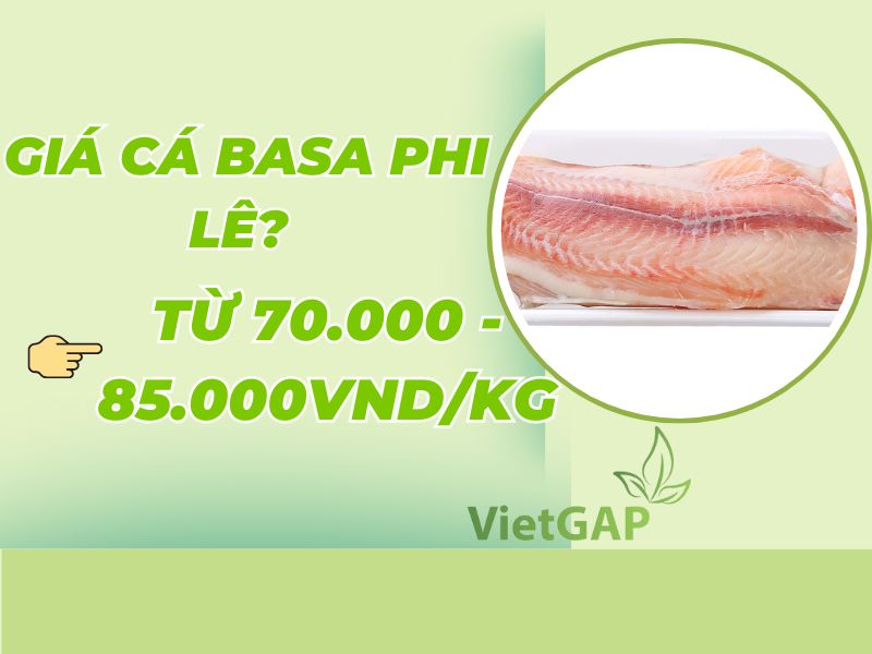goc-thac-mac-ca-basa-gia-bao-nhieu-1kg