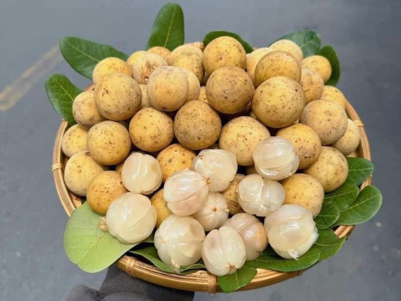goc-tim-hieu-ba-bau-an-qua-bon-bon-duoc-khong