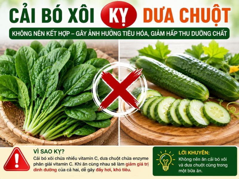 goc-tim-hieu-cai-bo-xoi-ky-voi-gi.jpg