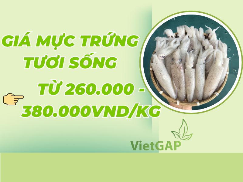 muc-trung-gia-bao-nhieu-1kg