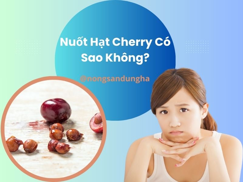 nuot-hat-cherry-co-sao-khong