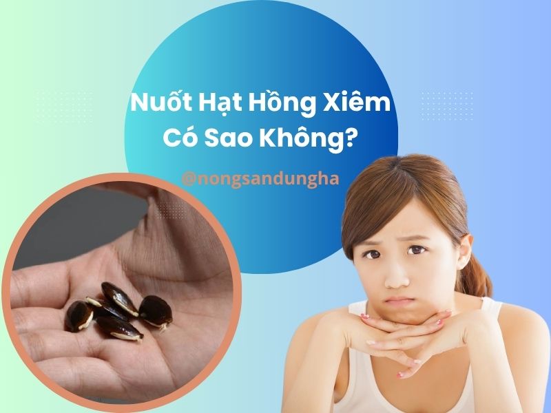 nuot-hat-hong-xiem-co-sao-khong