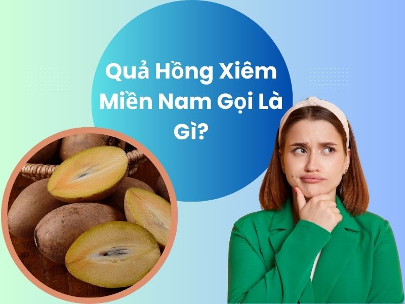 qua-hong-xiem-mien-nam-goi-la-gi