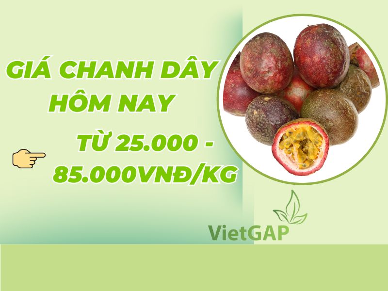thac-mac-1kg-chanh-day-bao-nhieu-tien