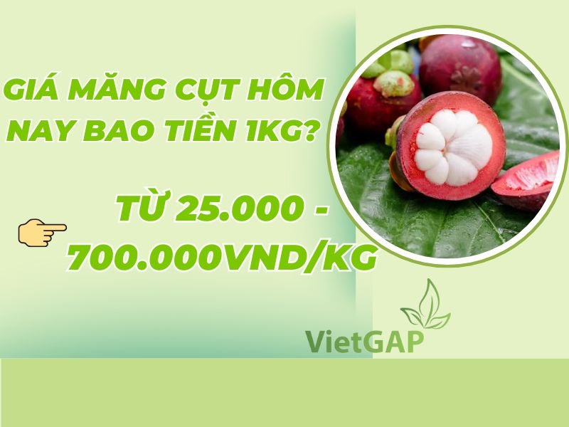 thac-mac-gia-mang-cut-hom-nay