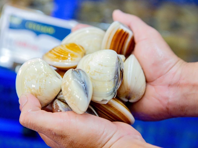 thac-mac-gia-ngheu-hom-nay-bao-tien-1kg