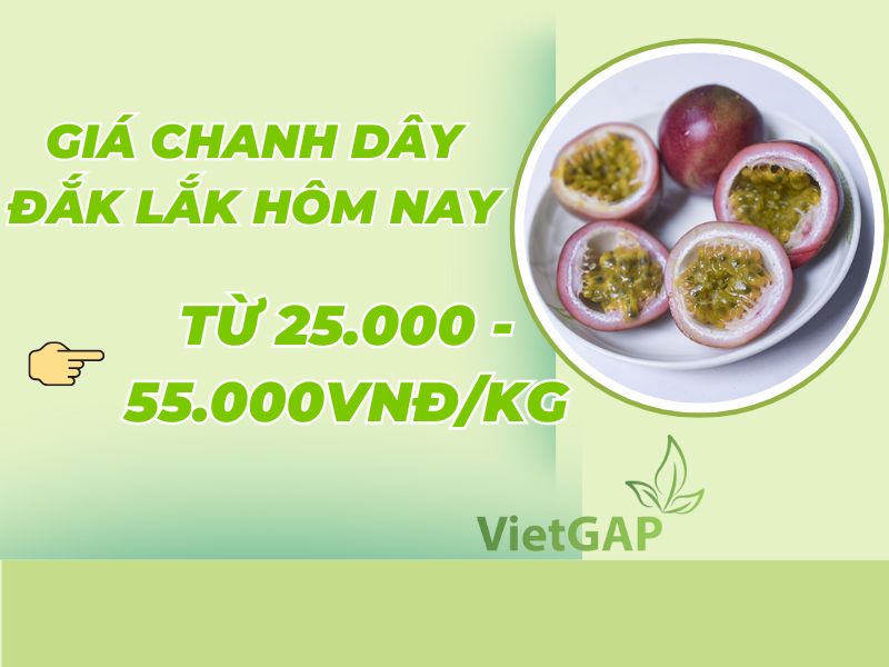 tim-hieu-1kg-chanh-day-bao-nhieu-tien