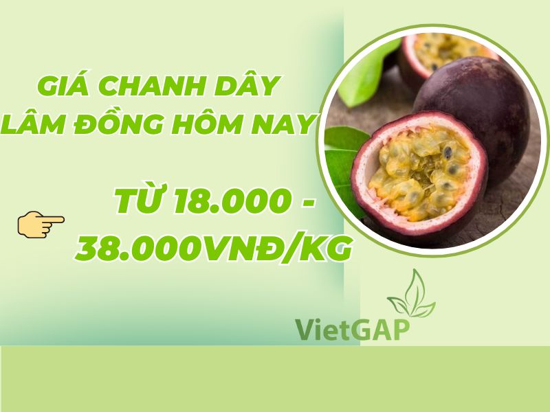 tra-loi-1kg-chanh-day-bao-nhieu-tien