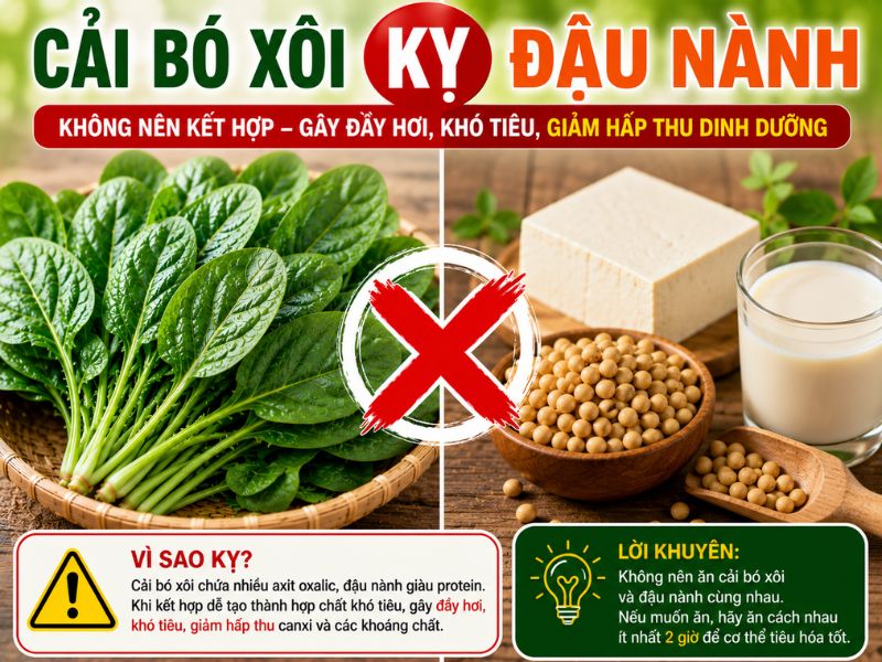 xem-ngay-cai-bo-xoi-ky-voi-gi.jpg