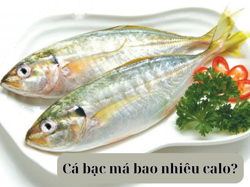 ca-bac-ma-bao-nhieu-calo
