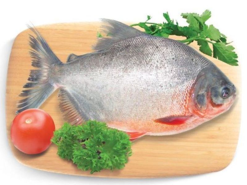 cac-loai-ca-nuoc-ngot-tai-viet-nam-cach-che-bien