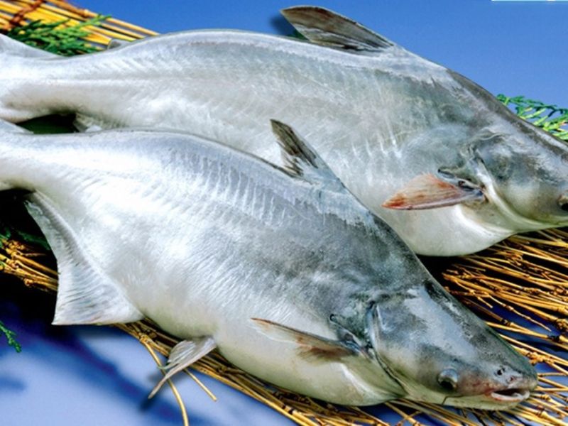 cac-loai-ca-nuoc-ngot-tai-viet-nam-de-che-bien