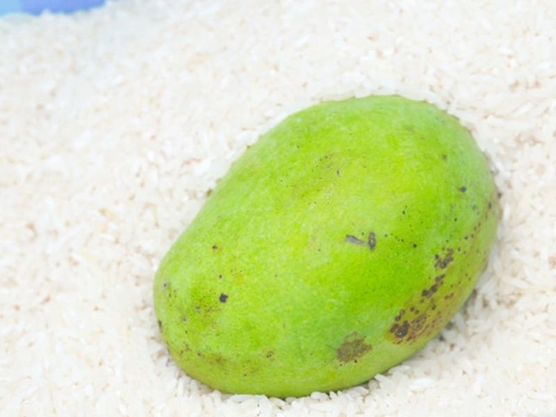 cach-u-xoai-nhanh-chin-bang-gao