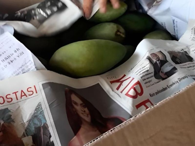 cach-u-xoai-nhanh-chin-bang-giay-bao