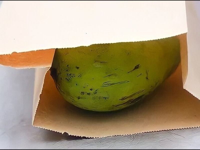 cach-u-xoai-nhanh-chin-bang-tui-giay