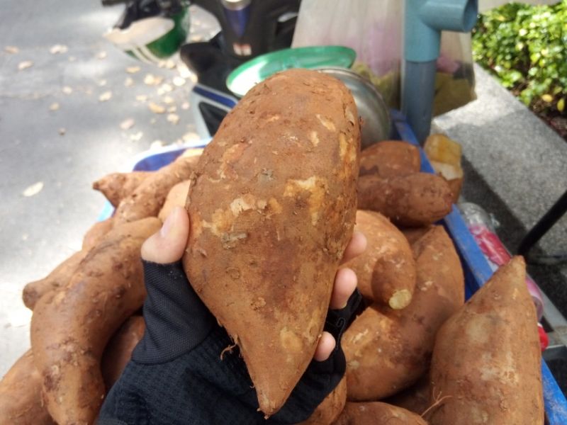 gia-khoai-sam-dat-hom-nay-bao-tien-1kg