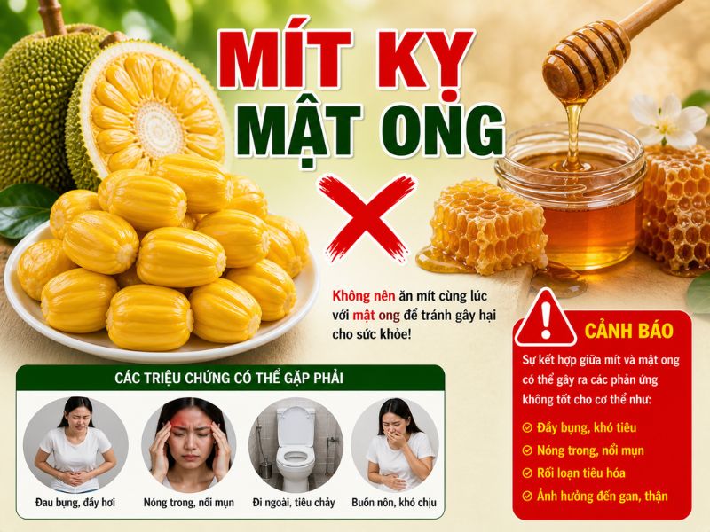 goc-giai-dap-mit-ky-gi.jpg