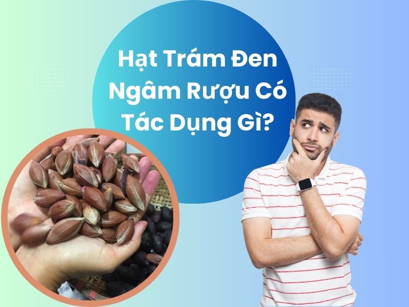 hat-tram-den-ngam-ruou-co-tac-dung-gi