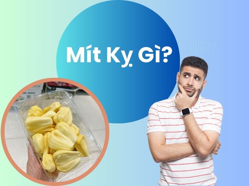 mit-ky-gi