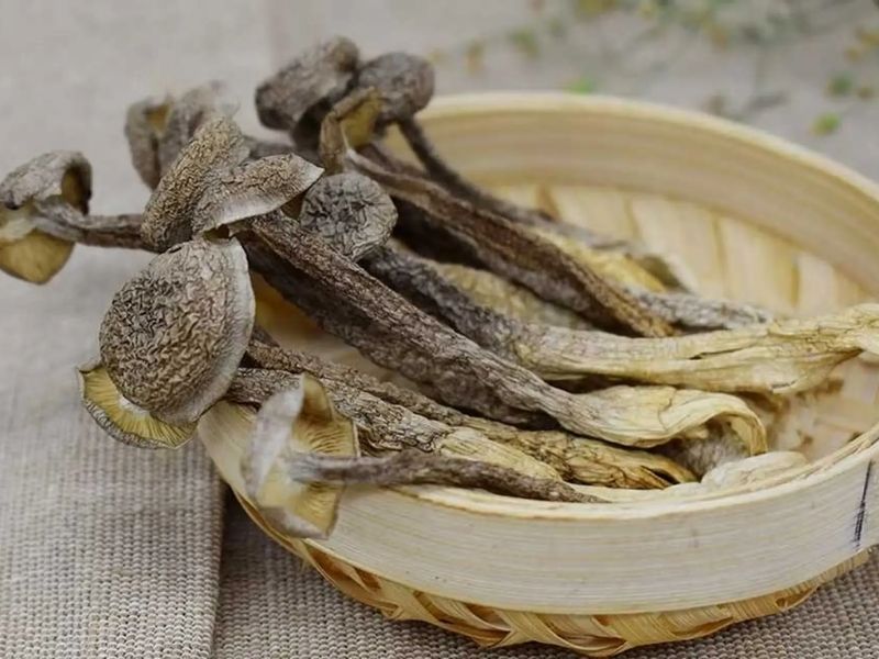 nam-loc-nhung-nau-mon-gi-ngon