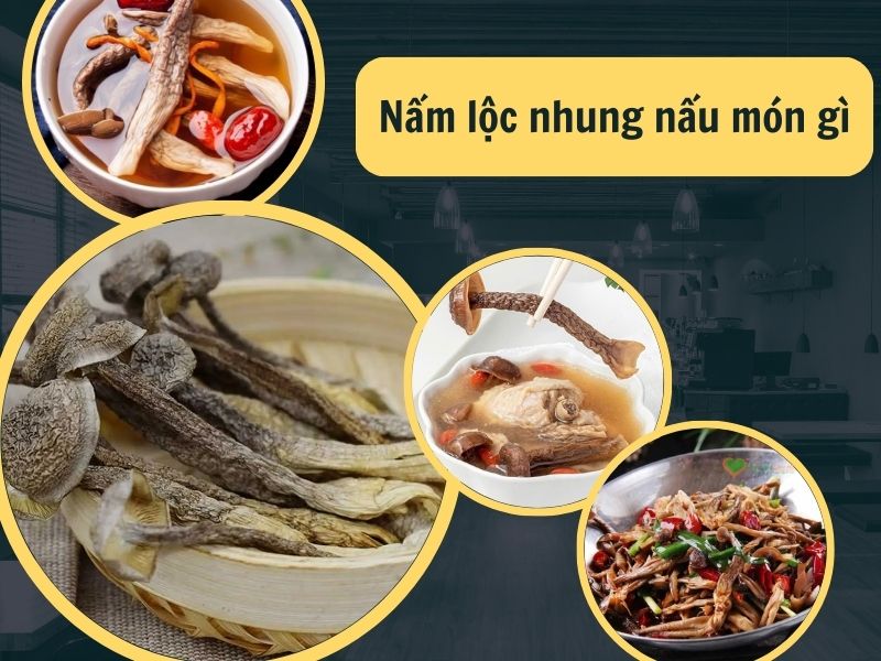 nam-loc-nhung-nau-mon-gi