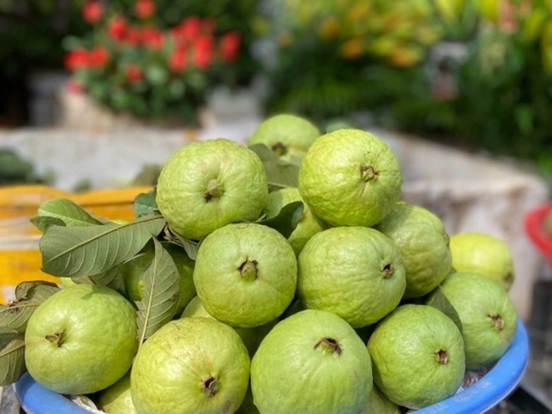 thac-mac-qua-oi-co-thap-huong-duoc-khong
