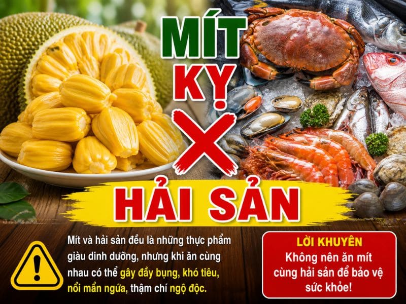 tim-hieu-mit-ky-gi-1.jpg