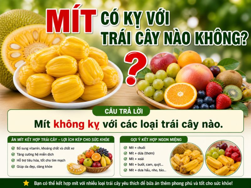 tra-loi-mit-ky-gi