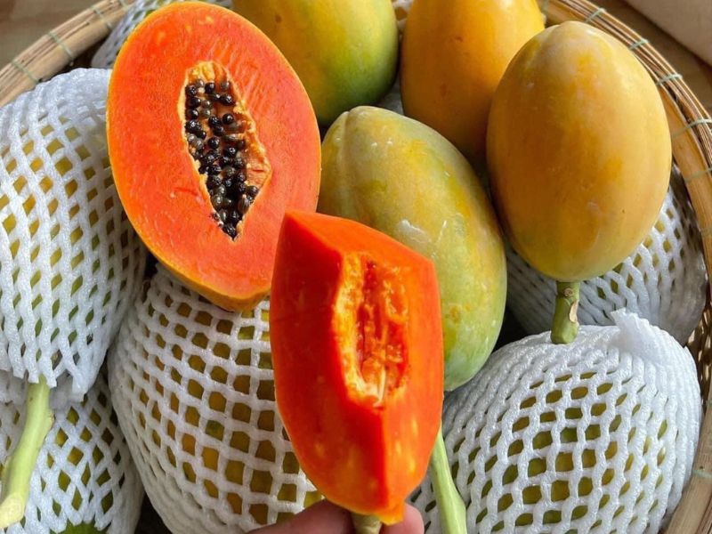 1-mieng-du-du-chin-bao-nhieu-calo