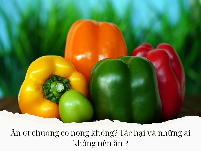 An-ot-chuong-co-nong-khong