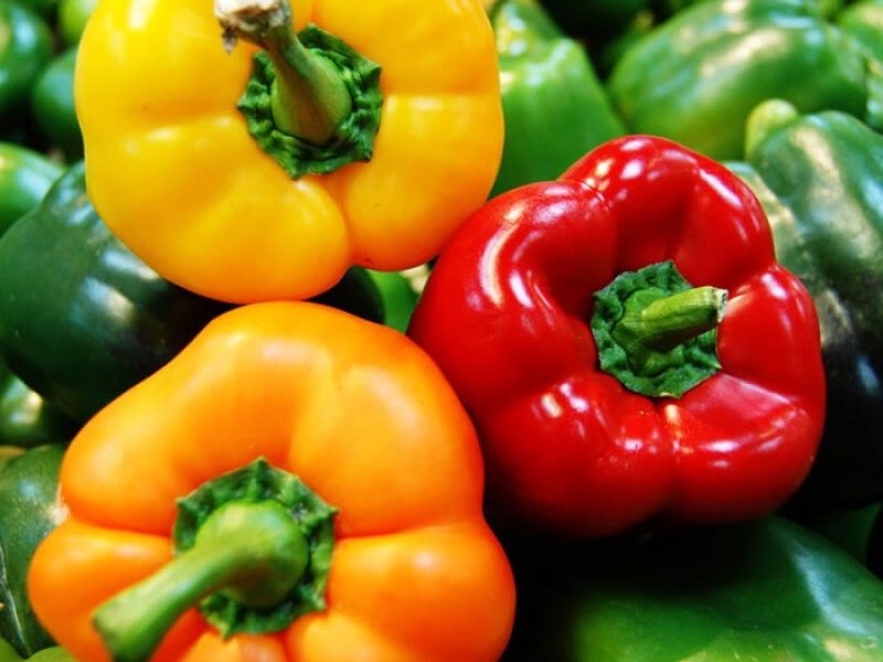 Khac-voi-cac-loai-ot-cay-thong-thuong-ot-chuong-khong-chua-capsaicin-la-hop-chat-chiu-trach-nhiem-tao-cam-giac-cay-nong-dac-trung