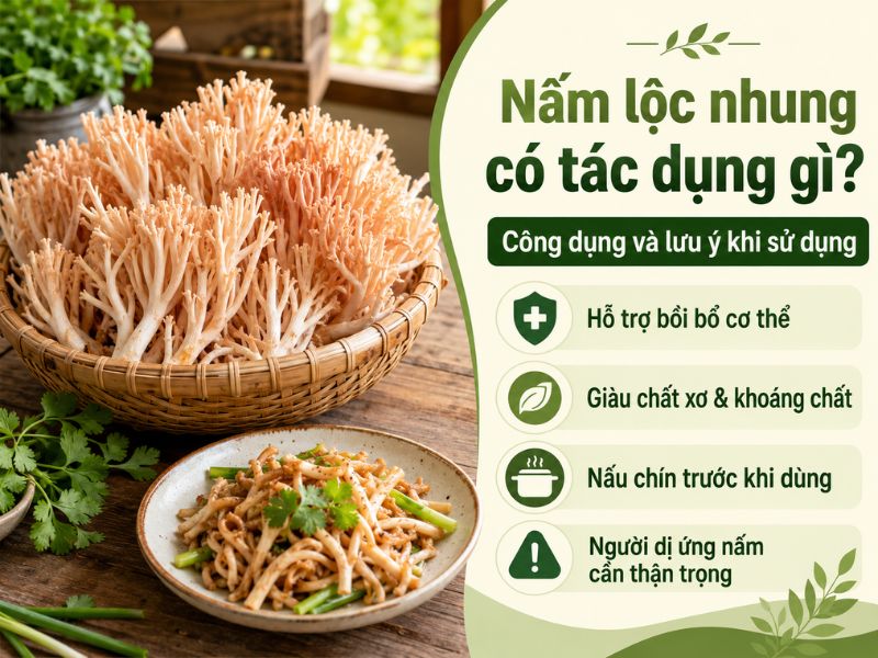 Nam-loc-nhung-co-tac-dung-gi-Cong-dung-va-luu-y-khi-su-dung