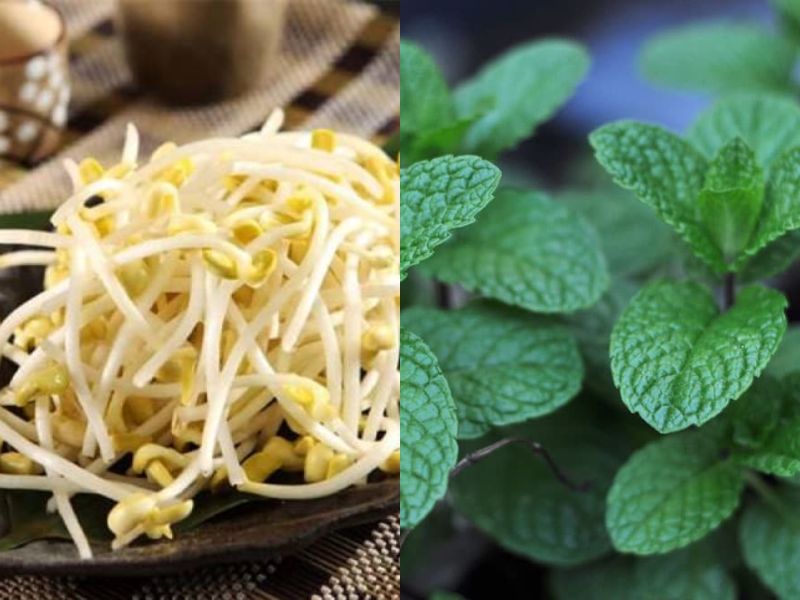 Nuoc-gia-do-va-la-bac-ha