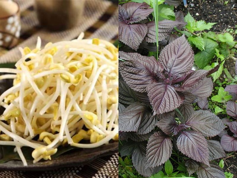 Nuoc-gia-do-va-tia-to
