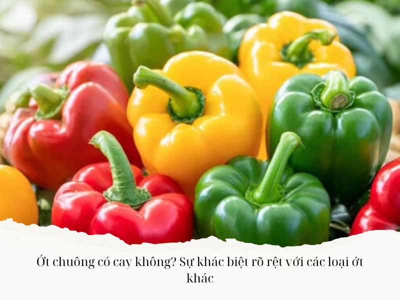 Ot-chuong-co-cay-khong-Su-khac-biet-ro-ret-voi-cac-loai-ot-khac