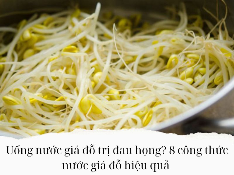 Uong-nuoc-gia-do-tri-dau-hong