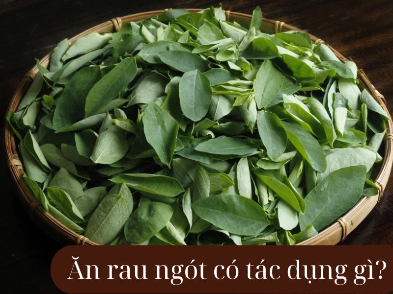 an-rau-ngot-co-tac-dung-gi