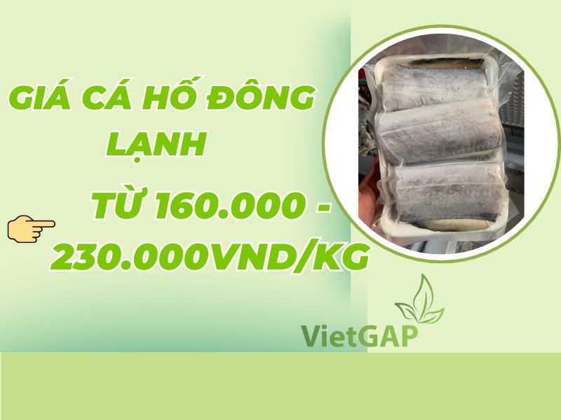 gia-ca-ho-dong-lanh