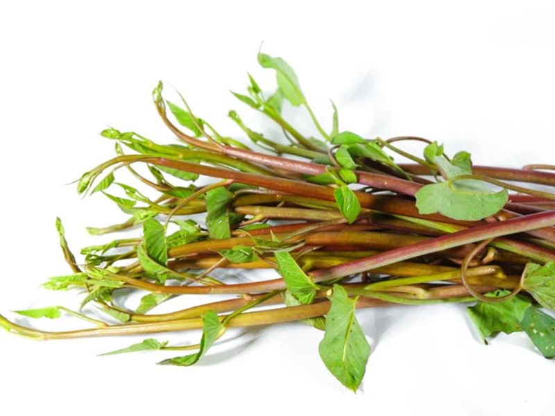 giai-dap-cac-loai-rau-mien-tay-an-lau